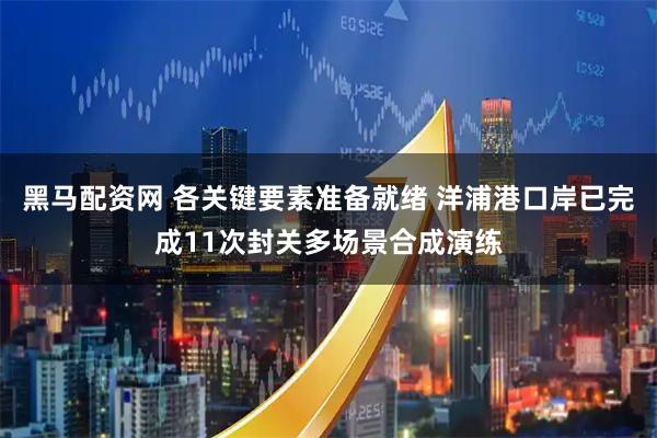 黑马配资网 各关键要素准备就绪 洋浦港口岸已完成11次封关多场景合成演练